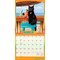 Plato; Avanti Cranky Kitties OFFICIAL | 2027 12 x 24 Inch (Hanging) Monthly Square Wall Calendar; Category:Wall Calendars; Image:4